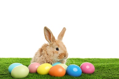 Photo of Adorable furry Easter bunny and dyed eggs on green grass against white background