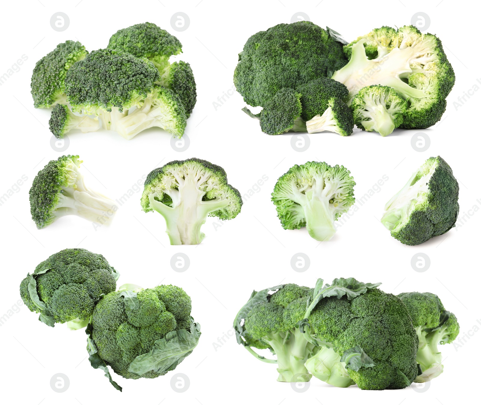 Image of Set of fresh green broccoli on white background