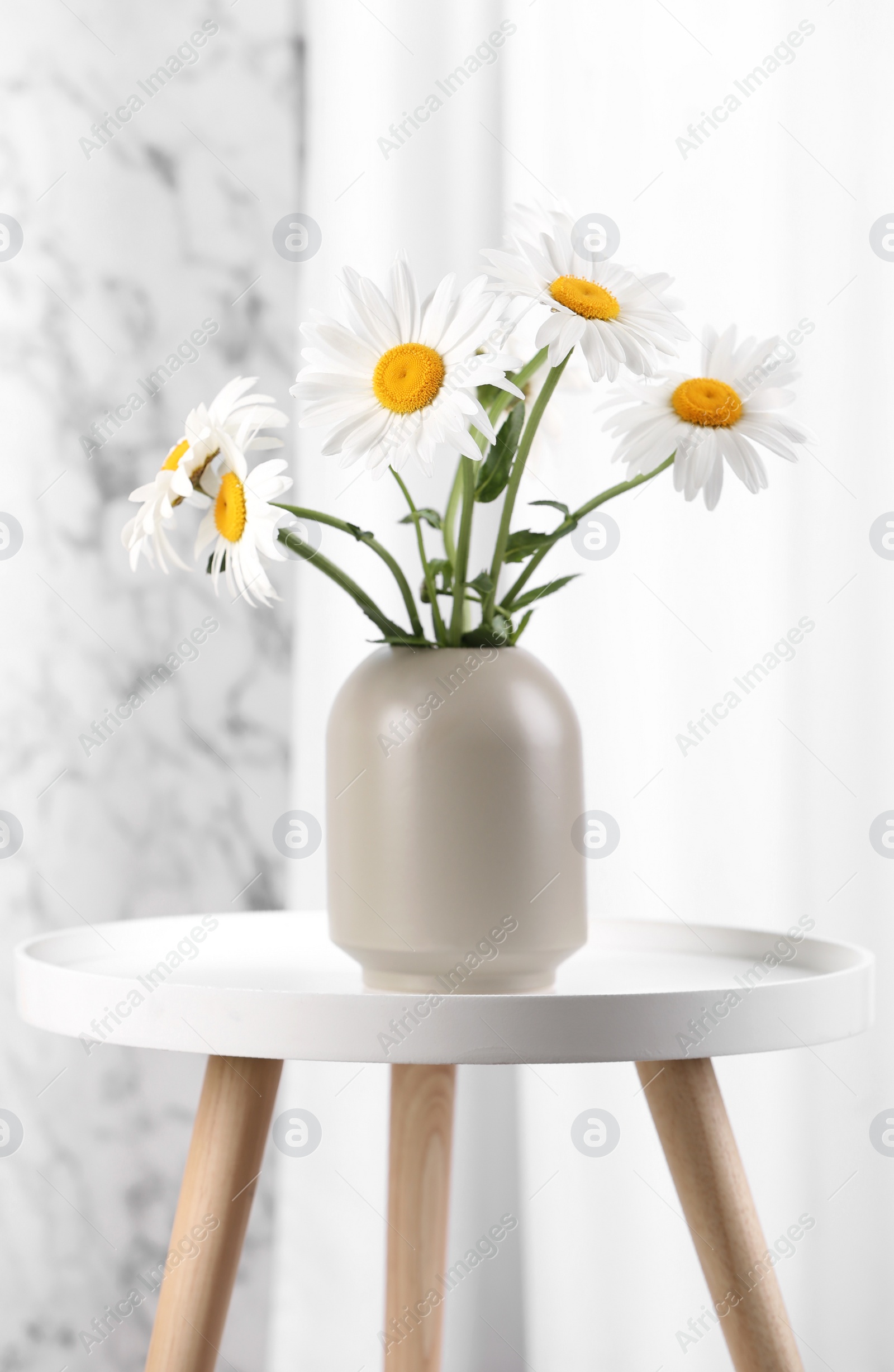 Photo of Beautiful tender chamomile flowers in vase on white table indoors