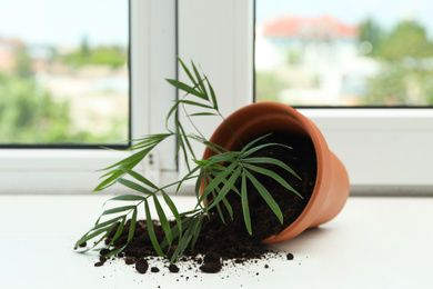 Overturned terracotta flower pot with soil and plant on white windowsill indoors