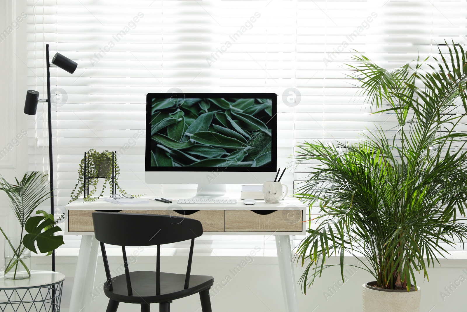 Photo of Comfortable workplace with modern computer and green plants in room. Interior design