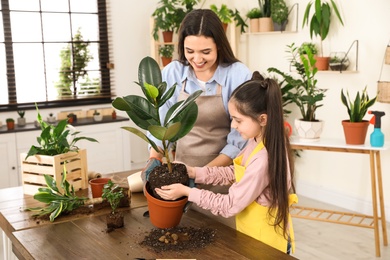 Mother and daughter taking care of plant at home