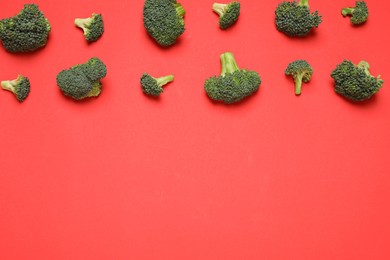 Photo of Fresh tasty broccoli on red background, flat lay. Space for text