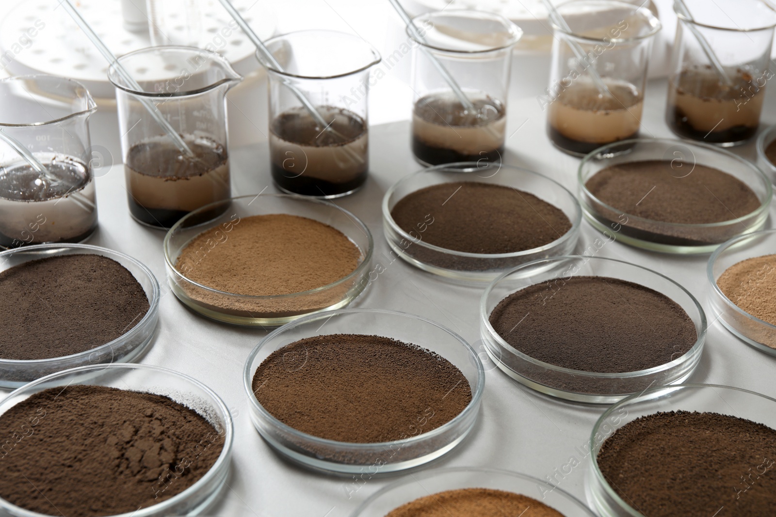 Photo of Glassware with soil samples and extracts on light table. Laboratory research