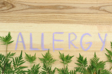 Photo of Flat lay composition with ragweed plant (Ambrosia genus) and word "ALLERGY" written on wooden background