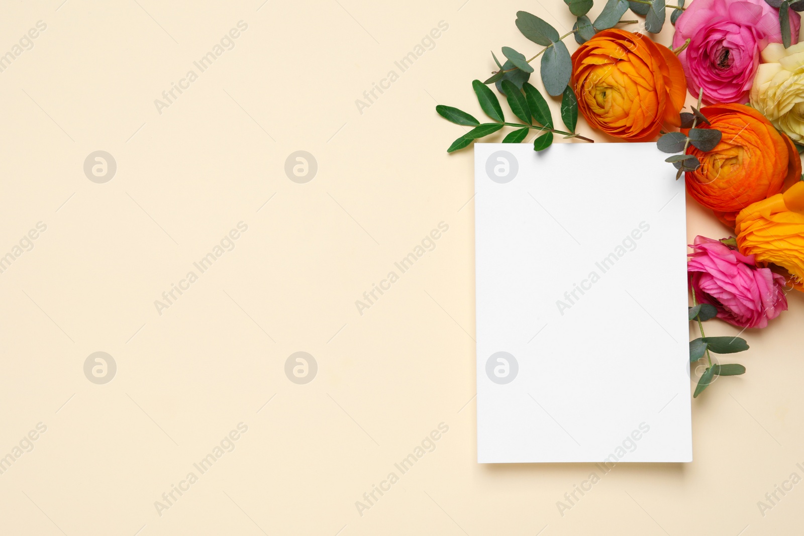 Photo of Beautiful ranunculus flowers and paper card on beige  background, flat lay. Space for text