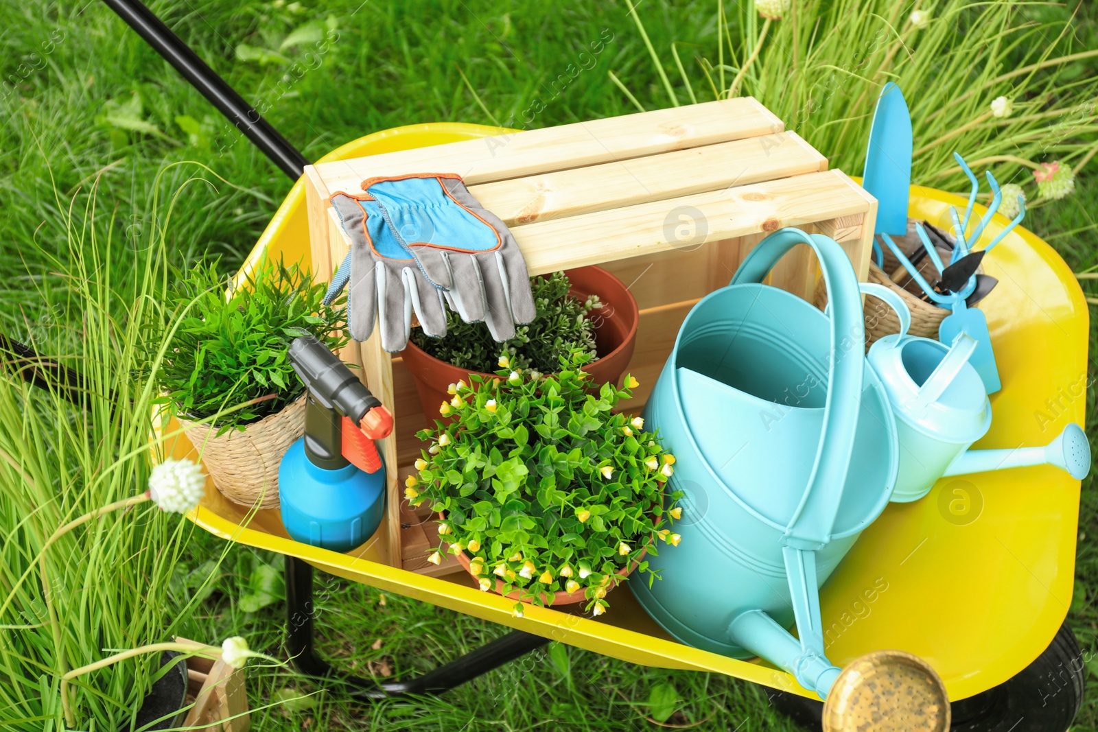 Photo of Composition with gardening tools on green grass