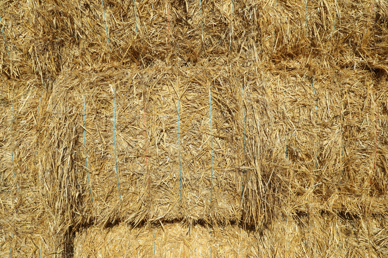Photo of Many hay bales as background, closeup view
