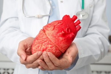 Photo of Doctor holding heart model, closeup. Cardiology concept