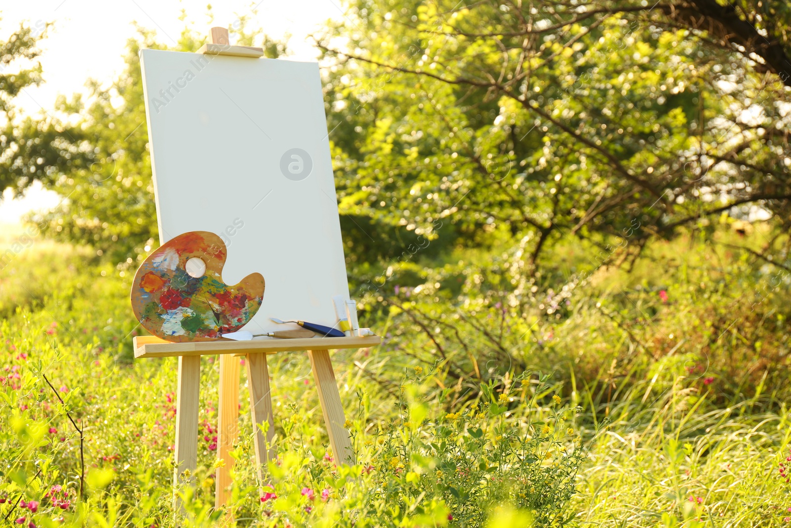 Photo of Wooden easel with blank canvas and painting equipment in meadow. Space for text