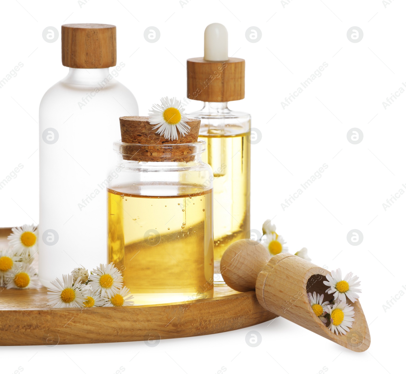 Photo of Bottles of chamomile essential oil and flowers on white background