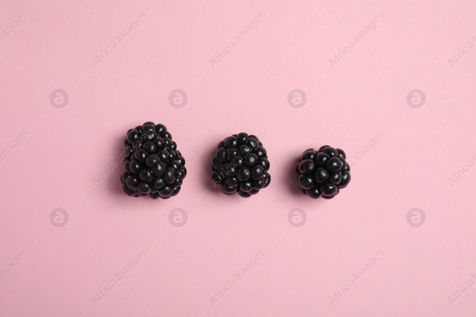 Photo of Flat lay composition with ripe blackberries on color background