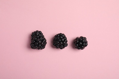 Photo of Flat lay composition with ripe blackberries on color background