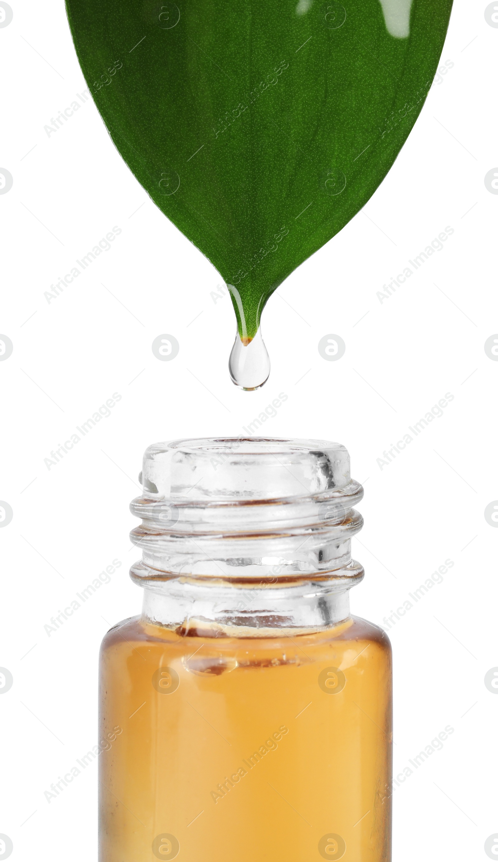 Photo of Essential oil drop falling from green leaf into glass bottle on white background, closeup