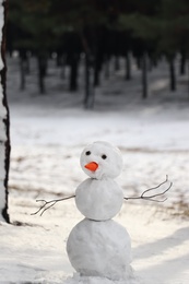 Funny snowman with carrot nose outdoors on winter day