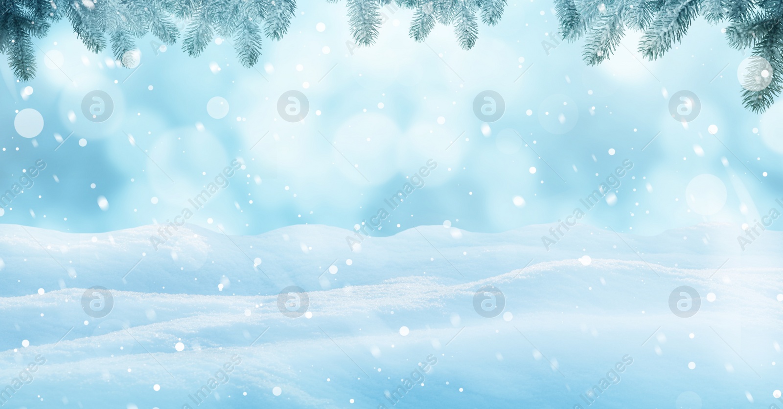 Image of Winter card design. Beautiful fluffy snow and fir tree outdoors