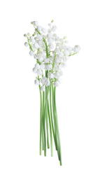 Beautiful lily of the valley flowers isolated on white