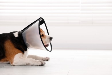 Photo of Adorable Beagle dog wearing medical plastic collar on floor indoors, space for text