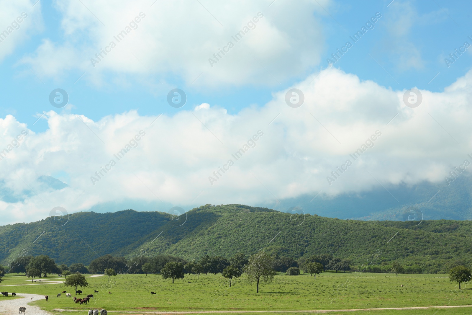 Photo of Picturesque view of mountains and green meadow