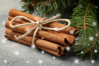 Cinnamon and fire tree branches on grey table, closeup