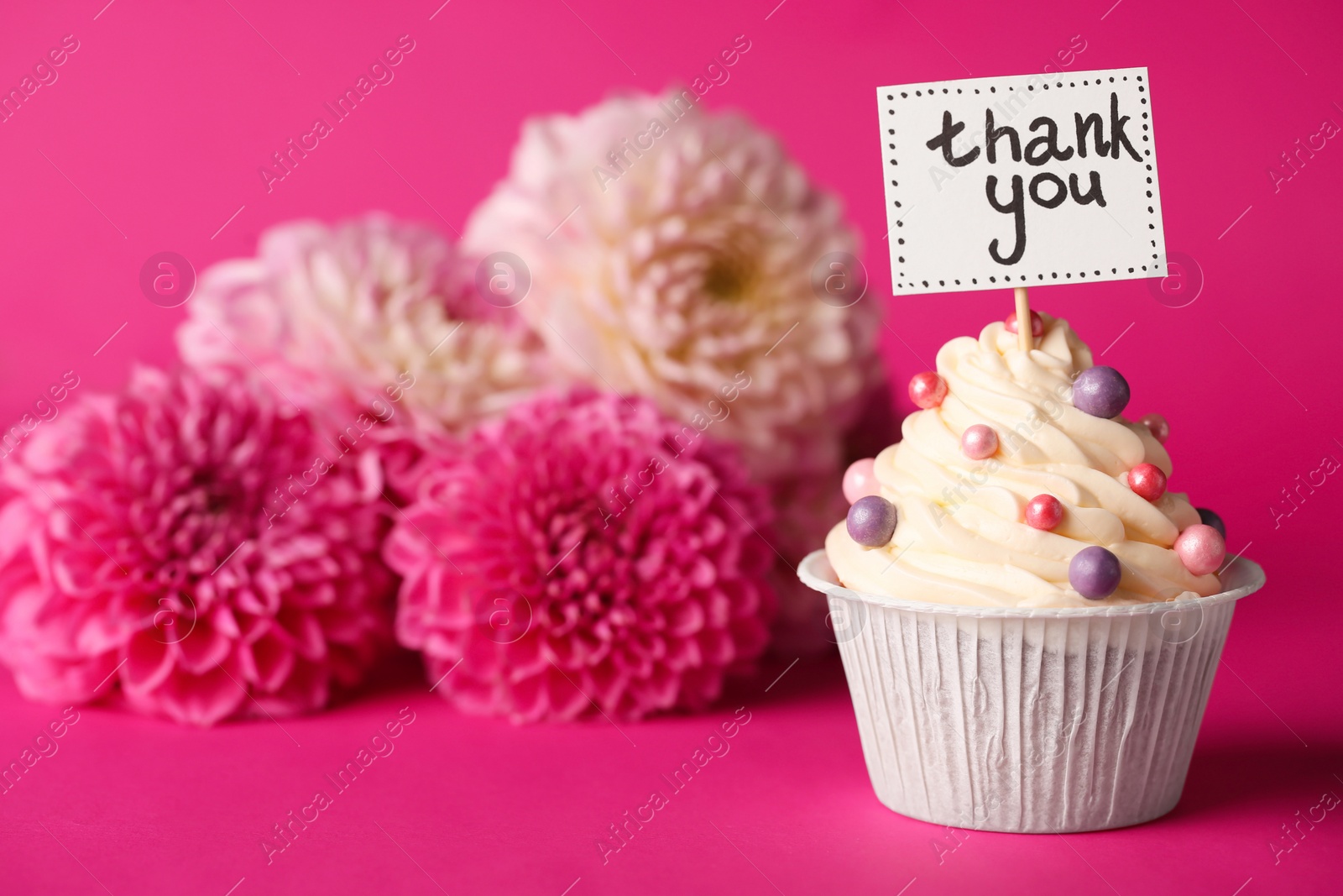 Photo of Tasty cupcake with Thank You note and dahlias on pink background, space for text