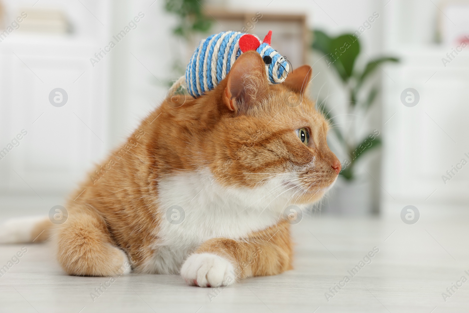 Photo of Cute ginger cat playing with sisal toy mouse at home