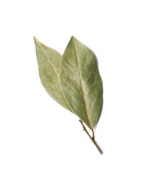 Photo of Sprig of aromatic bay leaves on white background, top view