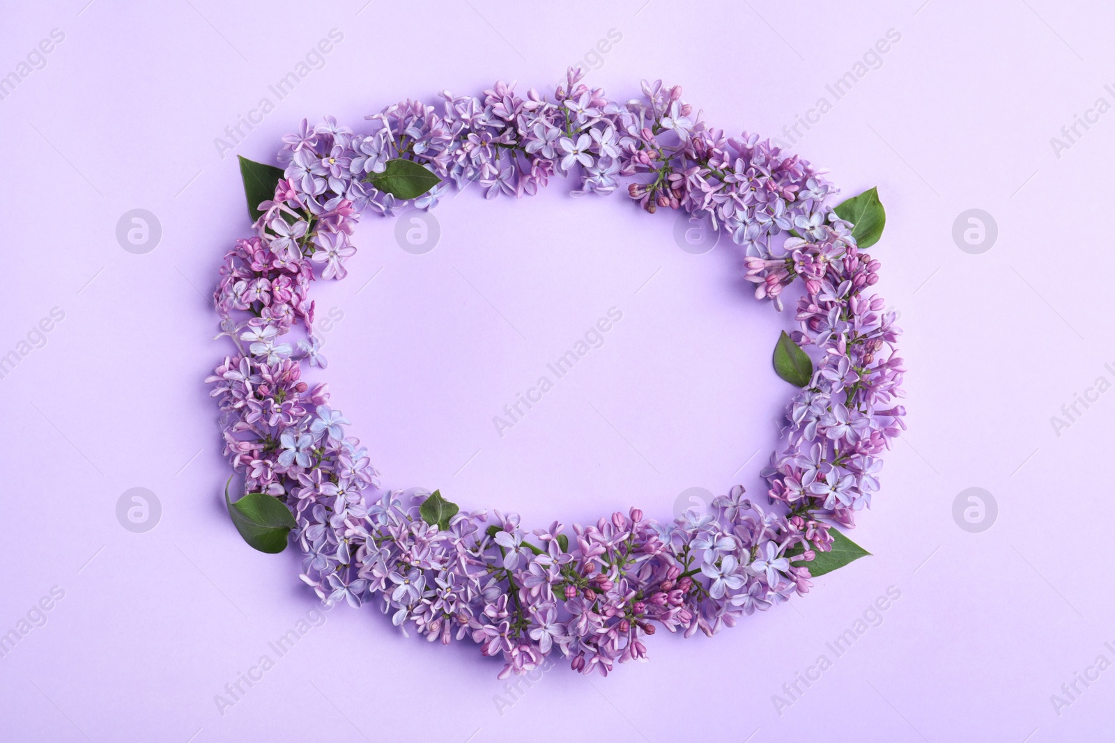 Photo of Frame made of blossoming lilac flowers on color background, flat lay. Space for text