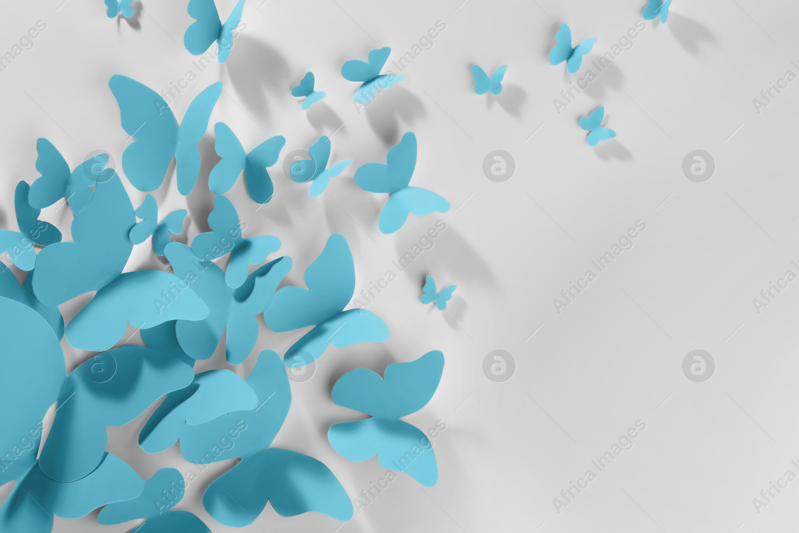 Image of Light blue paper butterflies on white wall