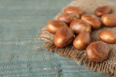 Photo of Raw jackfruit seeds and sackcloth on light blue wooden table, closeup. Space for text