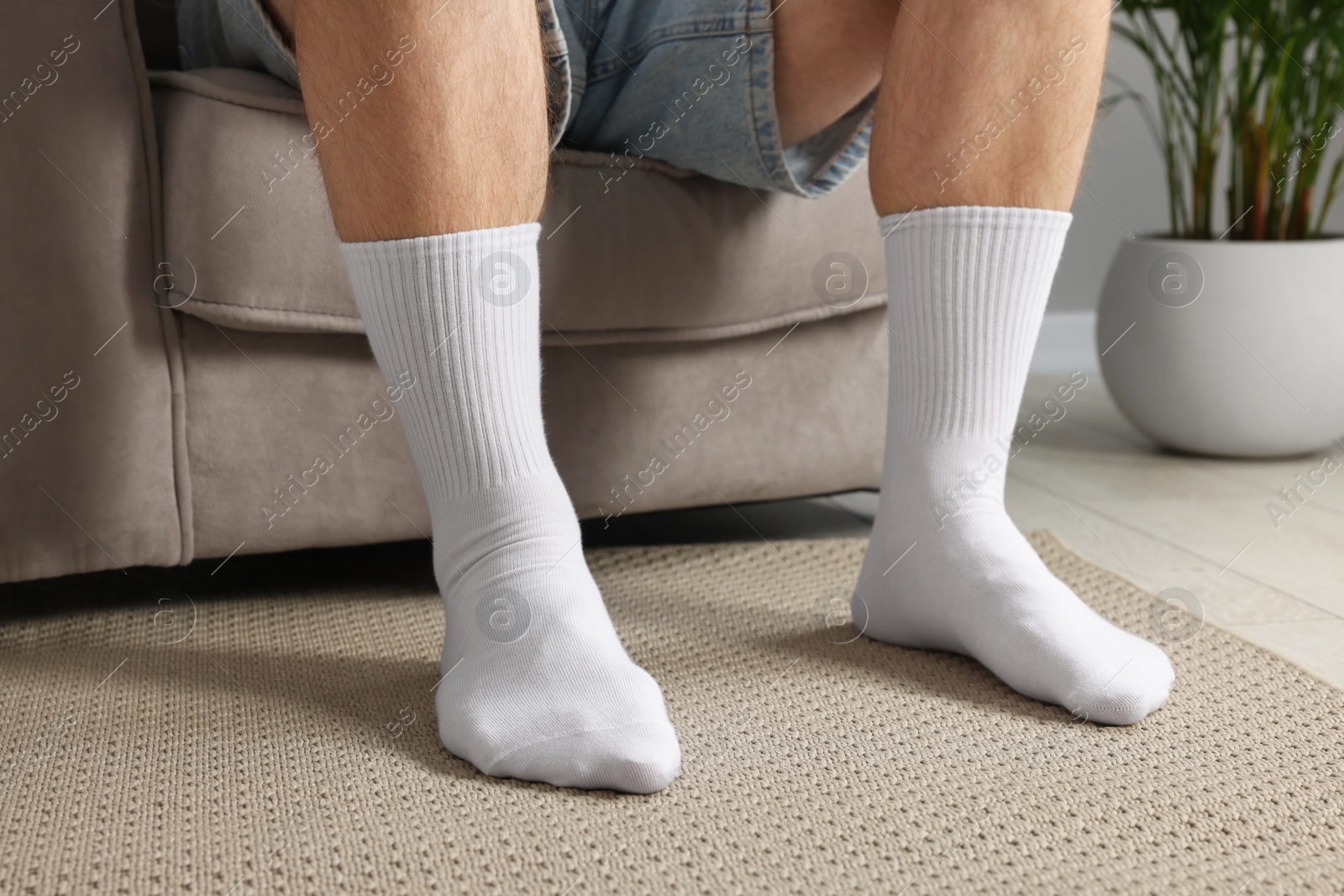 Photo of Man in stylish white socks in armchair indoors, closeup