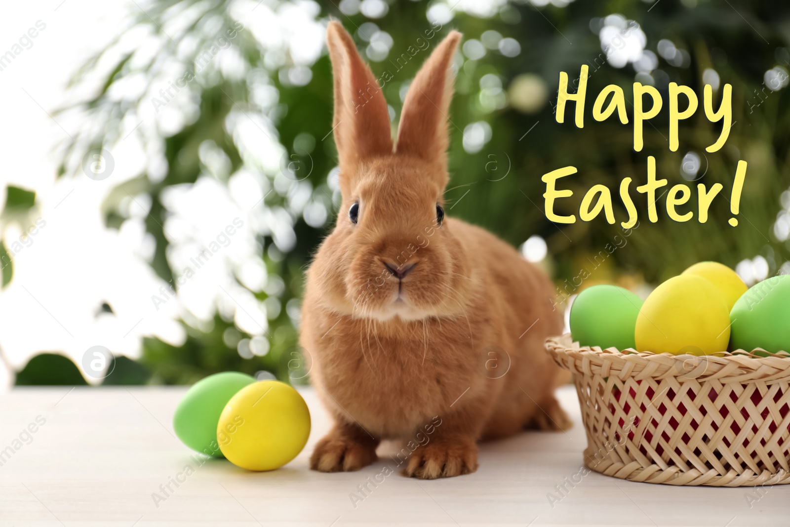 Image of Happy Easter! Cute bunny and basket with dyed eggs on table outdoors