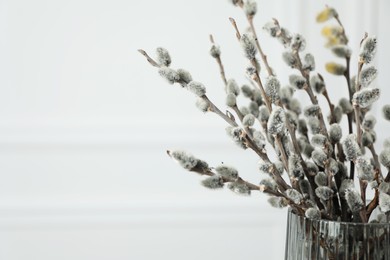 Photo of Beautiful pussy willow branches in glass vase on white background, closeup. Space for text
