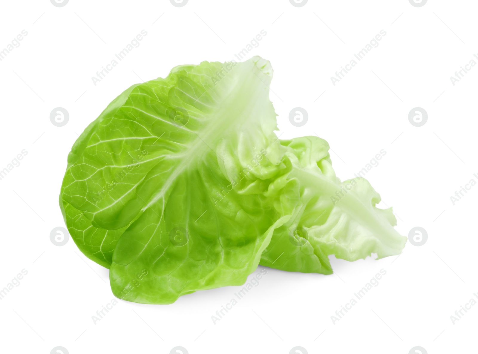 Photo of Fresh green butter lettuce leaves isolated on white