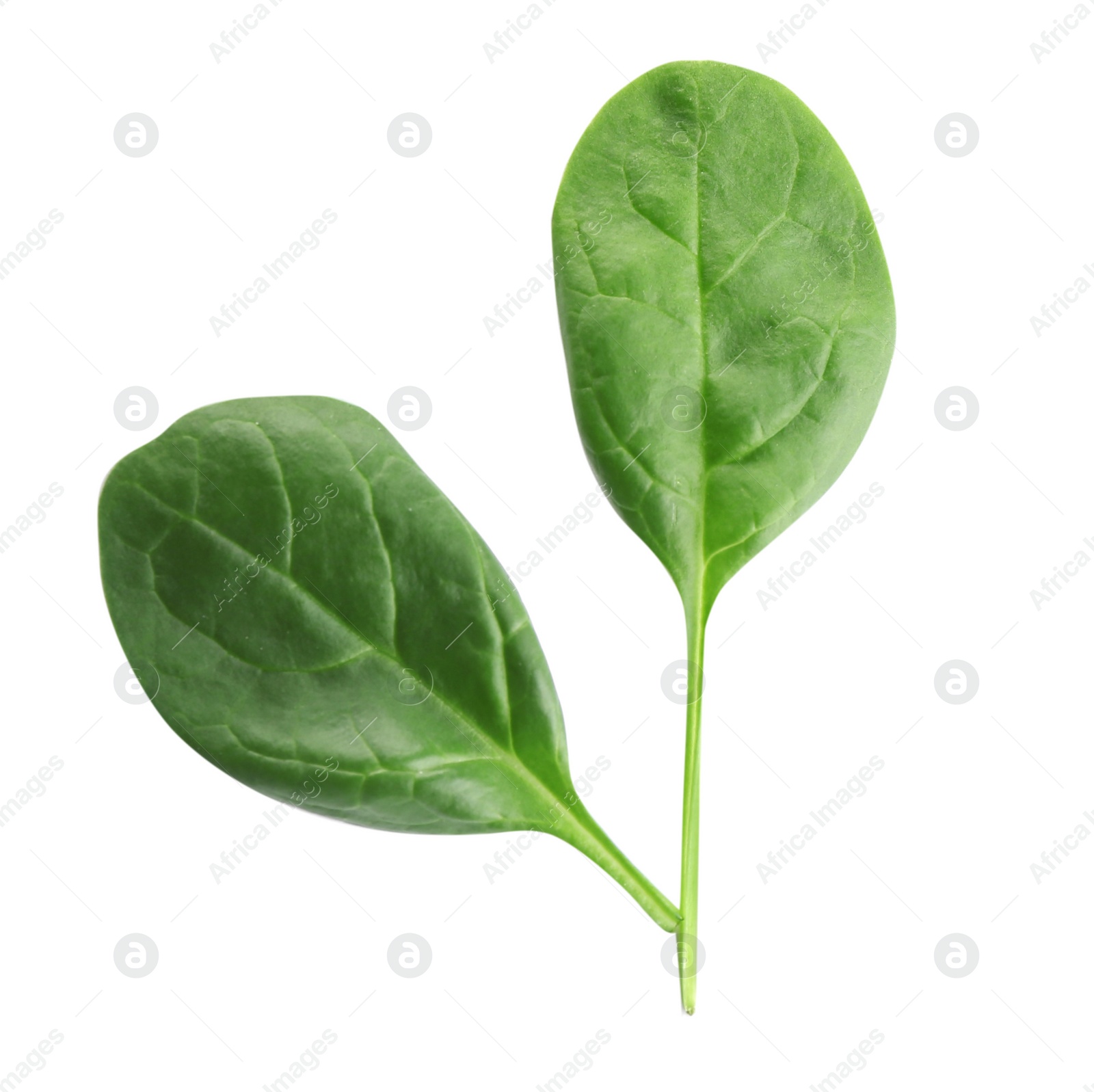 Photo of Fresh green leaves of healthy baby spinach on white background, top view