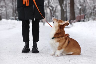 Photo of Woman with adorable Pembroke Welsh Corgi dog in snowy park, closeup