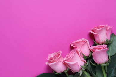 Photo of Beautiful roses on pink background, top view. Space for text