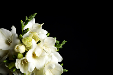 Photo of Beautiful freesia flowers on black background, closeup. Space for text