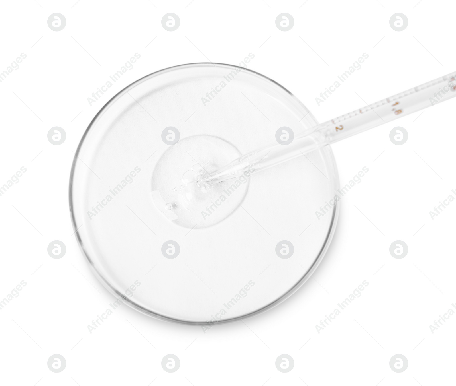 Photo of Glass pipette and petri dish with liquid on white background, top view