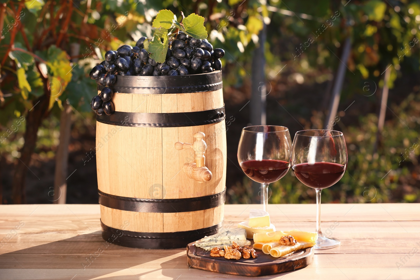 Photo of Composition with wine and snacks on table outdoors