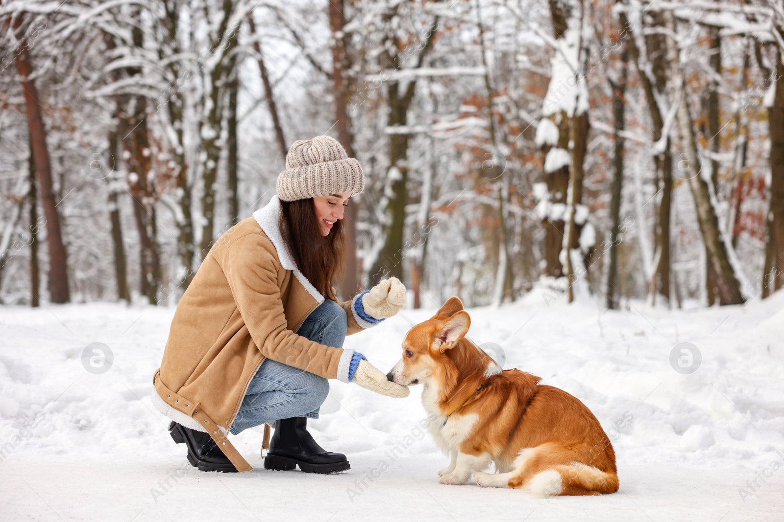 Photo of Woman with adorable Pembroke Welsh Corgi dog in snowy park