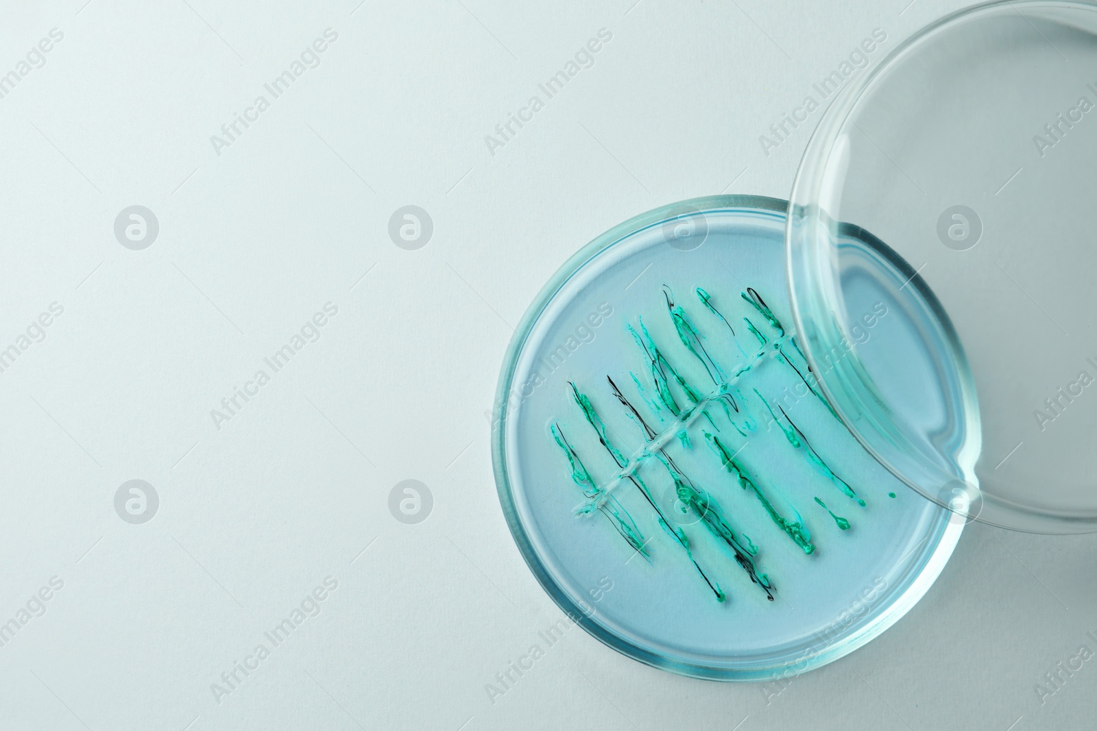 Photo of Petri dish with bacteria colony on white background, top view. Space for text