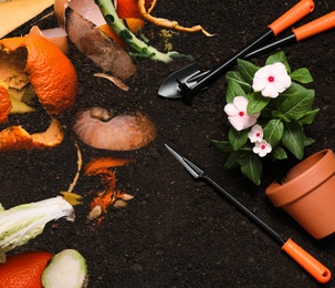 Gardening tools, flower and organic waste for composting on soil, flat lay. Natural fertilizer