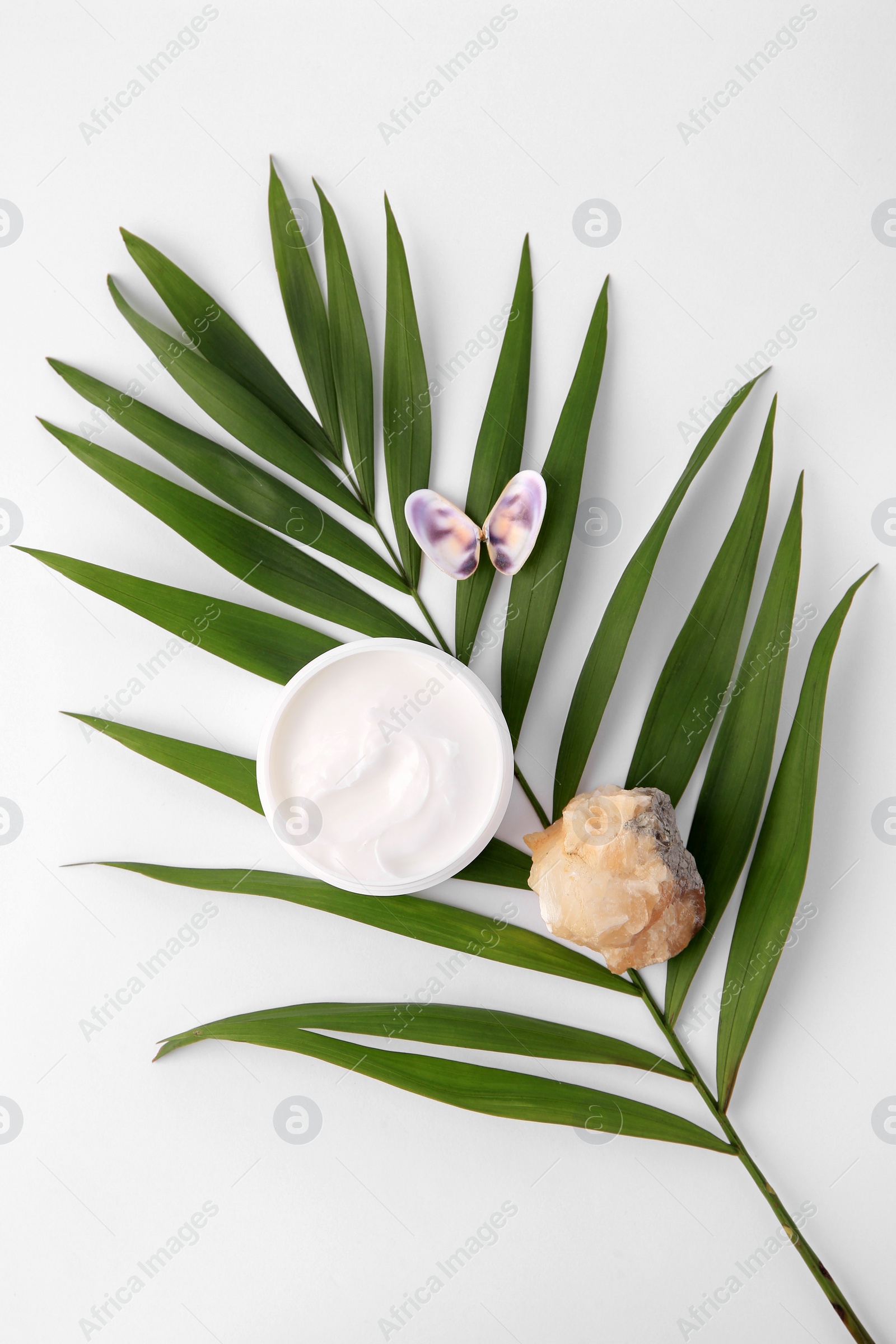 Photo of Jar of cream, shells, quartz gemstone and palm leaf on white background, flat lay