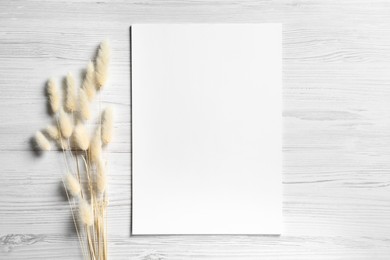 Photo of Empty sheet of paper and dry decorative spikes on white wooden table, flat lay. Mockup for design