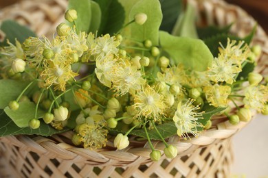 Photo of Fresh linden leaves and flowers in wicker basket on table, closeup