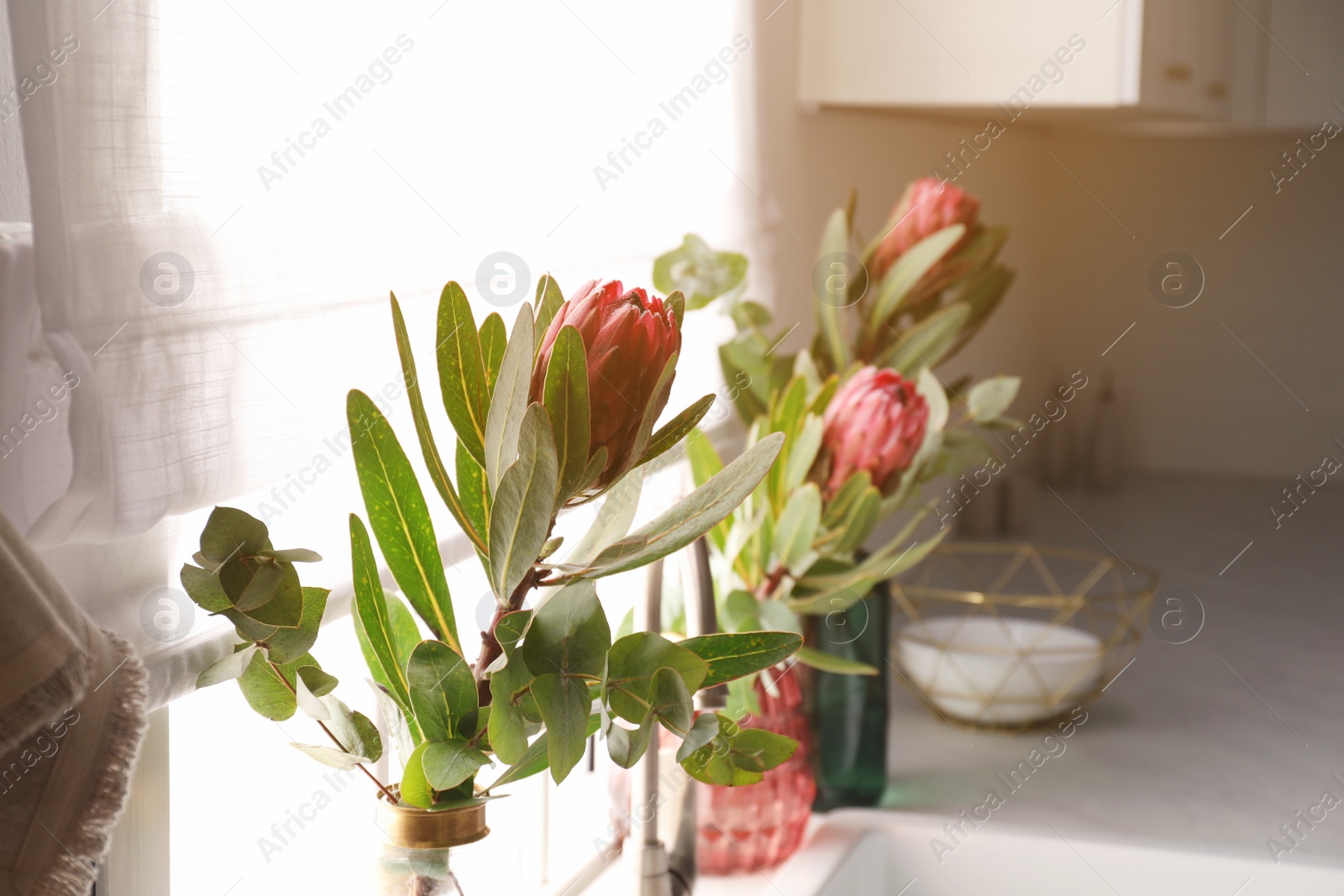 Photo of Beautiful protea flowers near window in kitchen. Interior design