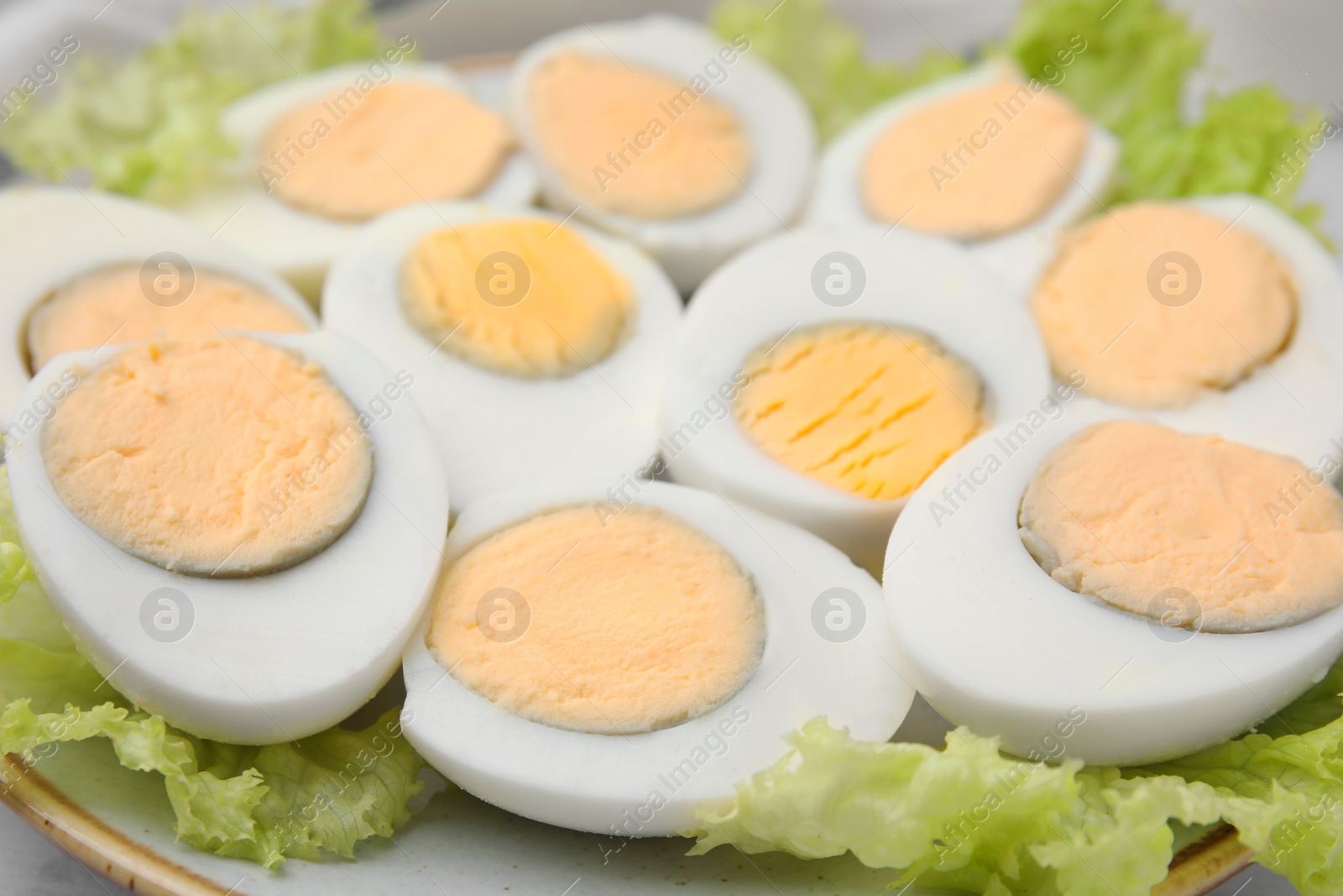 Photo of Fresh hard boiled eggs and lettuce on plate, closeup