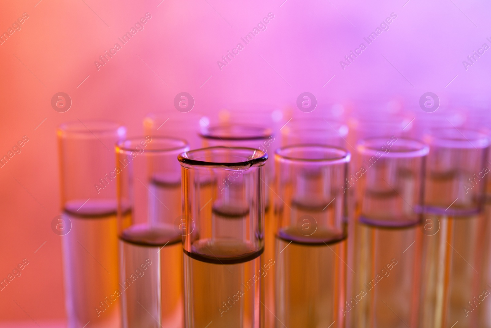 Photo of Closeup view of many test tubes with liquid, color tone effect