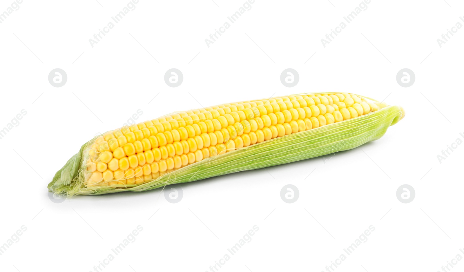 Photo of Ripe raw corn cob with husk isolated on white